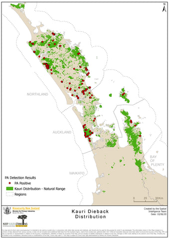 Kauri Dieback Distribution