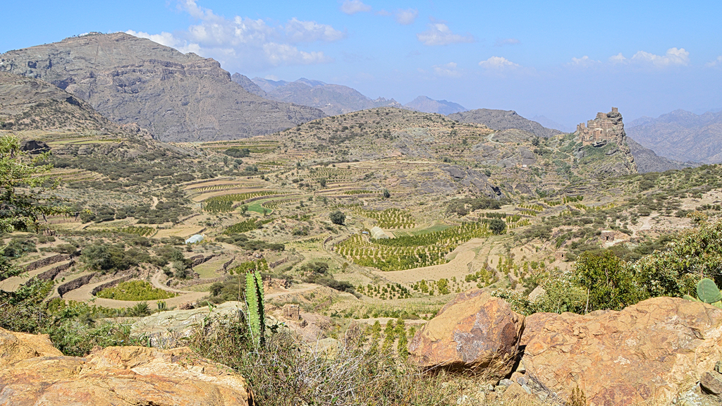 Overview of Yemeni coffee farm and surrounding lands