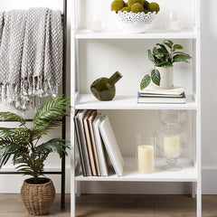 white bookshelf with abstract vase, candles and plants.