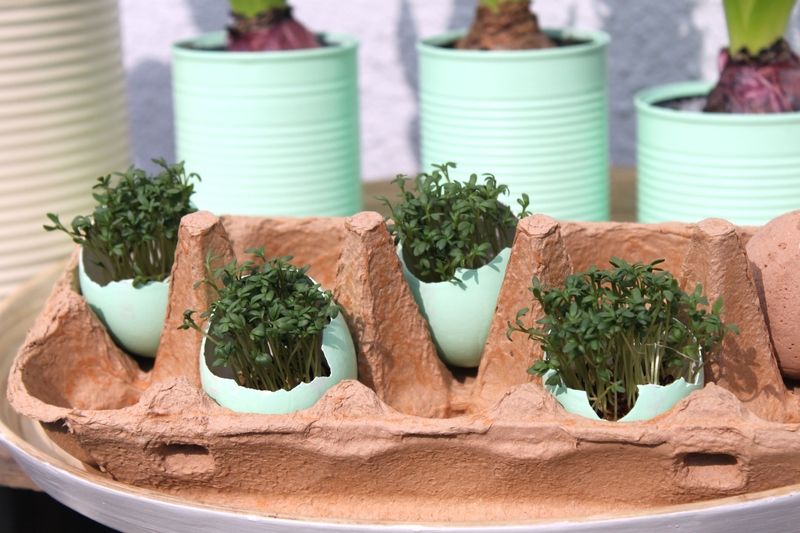 Mint lackierte Dosen und Eierschalen, DIY Ostergruesse.