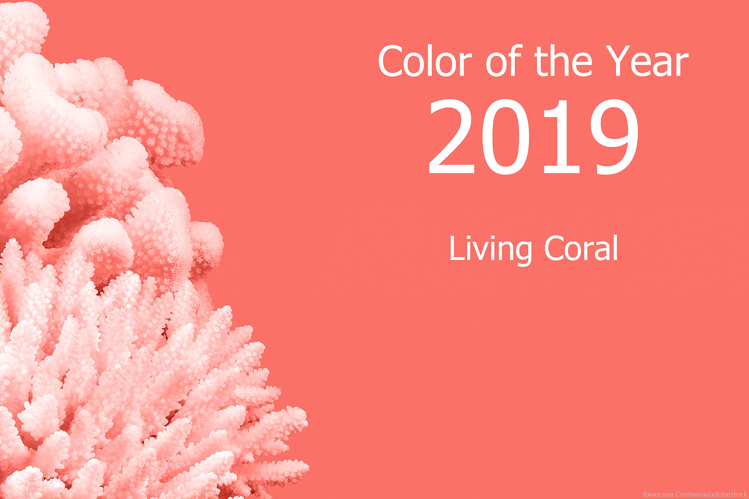 Pantone Living Coral Trendfarbe 2019.