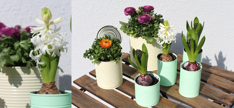 DIY: Blumentoepfe aus alten Konserven.