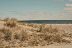 Amager Beach