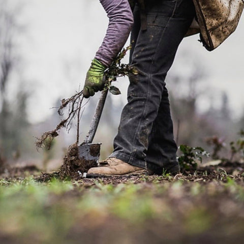  Nordgreen: The Ongoing Mission of Giving Back, image of someone planting trees.