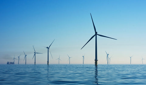 Copenhagen Startups: Giving Back Is In Their DNA, image of windmill farm.