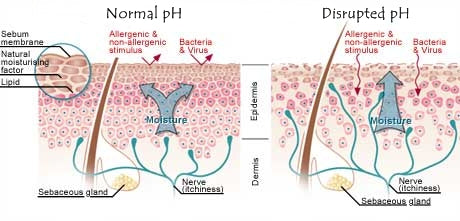 how to repair skin acid barrier