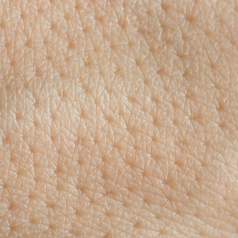 Adult Pores