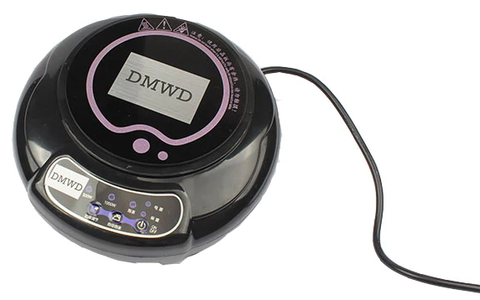 Portable Induction Cooker