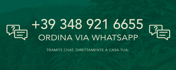 Order light marijuana via watsapp at +39 348 921 6655