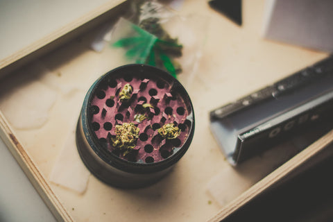 Grinder for shredding cannabis with buds and maps