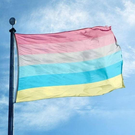 Genderflux Pride Flag Pride Mode 