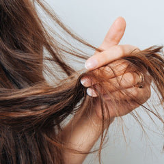 damaged hair and hair loss