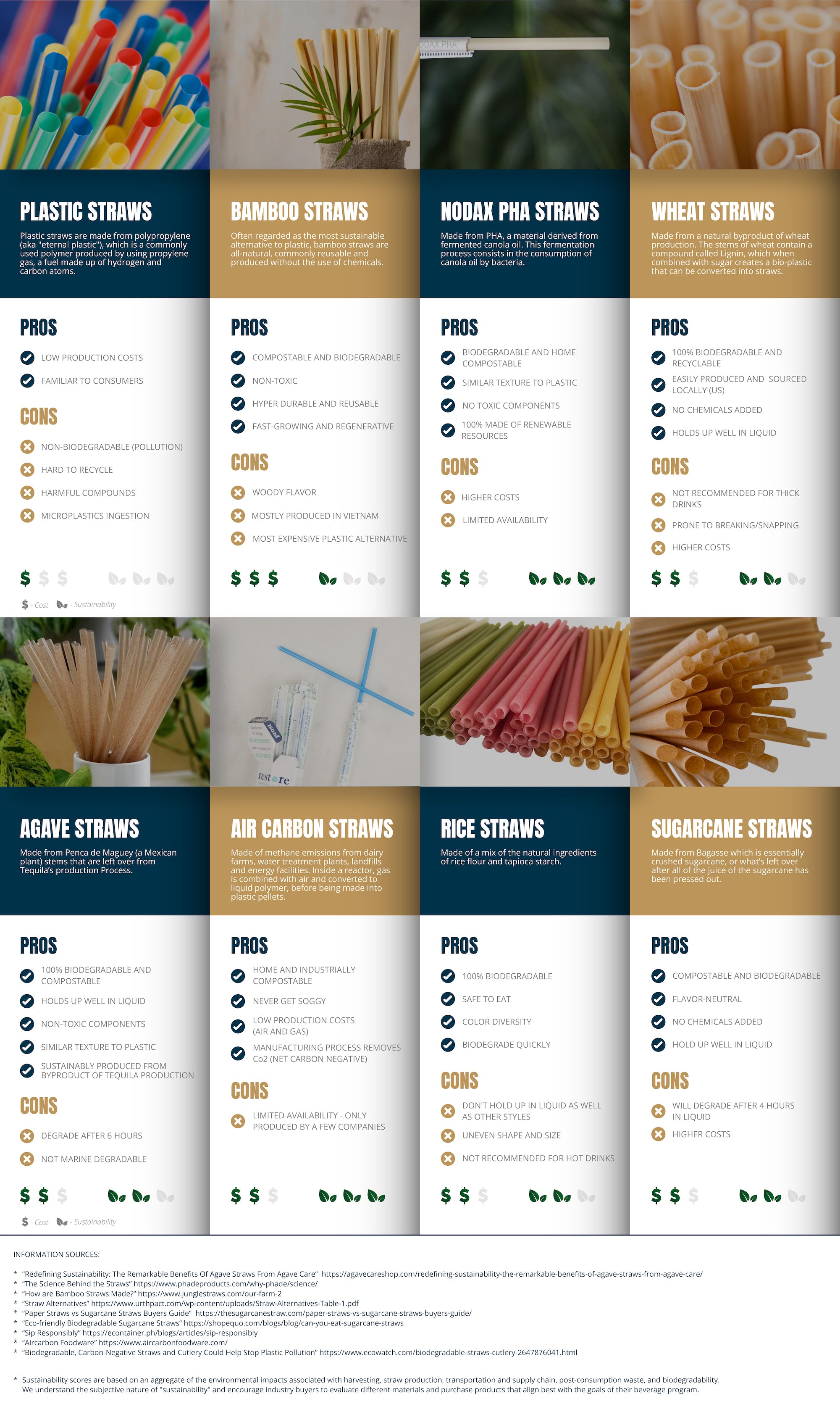 Eco Straws Infographic Comparing Bamboo Straws, Agave Straws, and Plastic Straw Alternatives