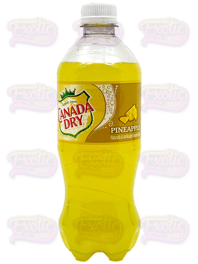 Canada Dry Pineapple - Exotic Blvd product image