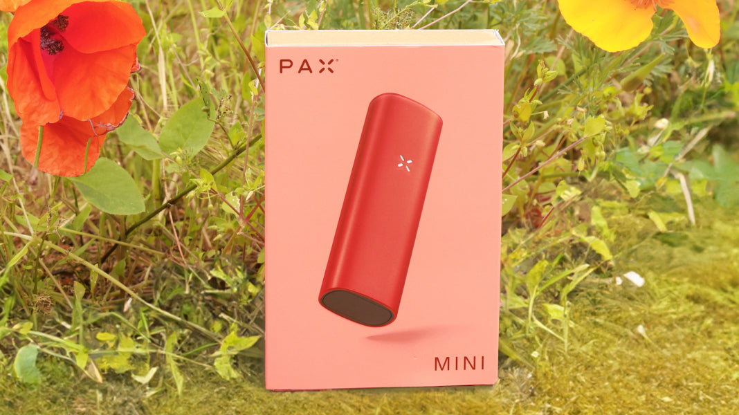 Actualización de PAX 2 a PAX MINI: lo que necesita saber