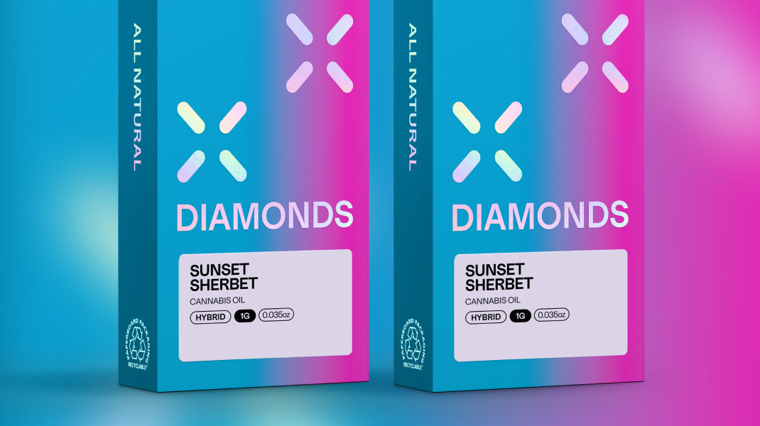 La dulce dicha del cannabis de la variedad Sunset Sherbet