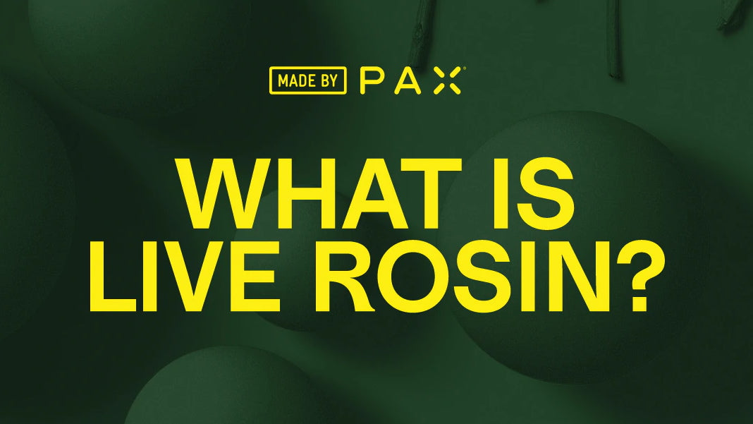 What is Live Rosin?