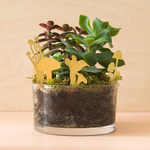 best gifts for houseplant lovers