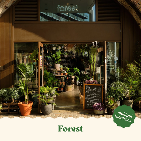 great plant shops in london forest deptford