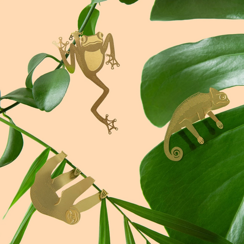 plant animal best plant gifts for house plant lovers this christmas