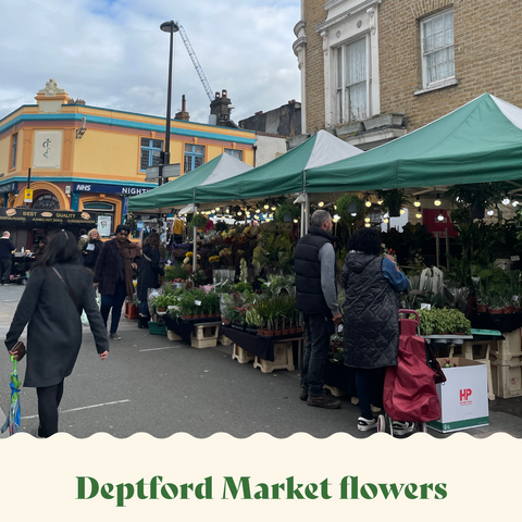 best plant shops in london deptford market