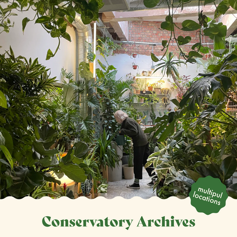 best plant shops in london concervatory archives