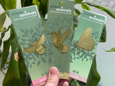 plant animal pollinator set gift of the year shortlist 2024