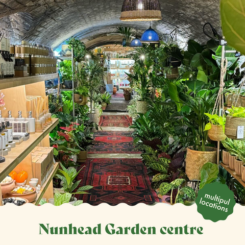 best garden centres in london nunhead