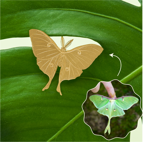 luna moth halloween decoration for plants