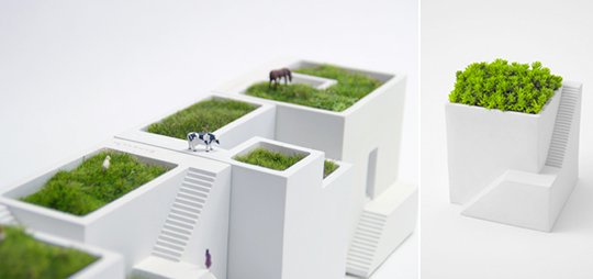 Amazing desktop garden ideas