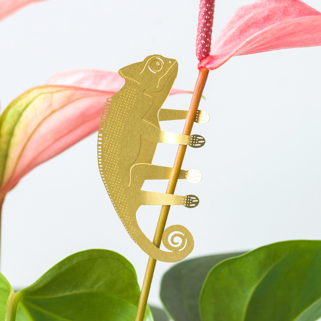 Chameleon Plant Animal | Houseplant Decoration – Another Studio