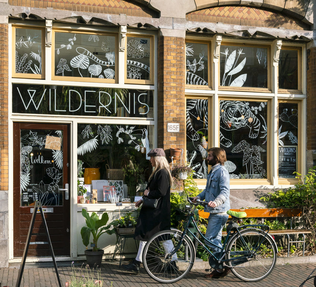 Hallo Amsterdam Reiseführer Wildernis