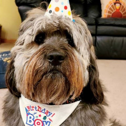 Birthday Boy Bandana