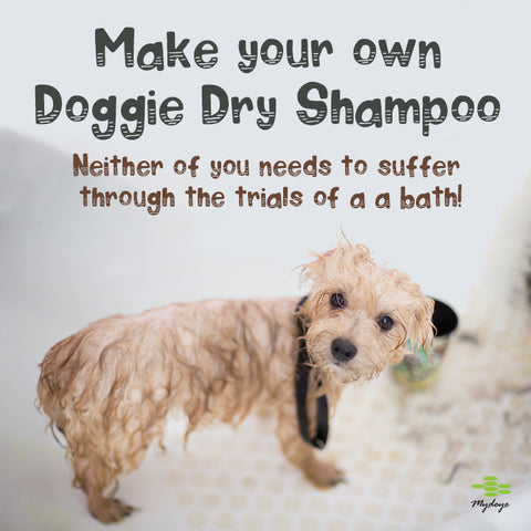 Make your own dry dog shampoo