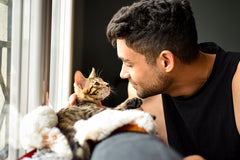 Kitten bengal cat pet looking at a man