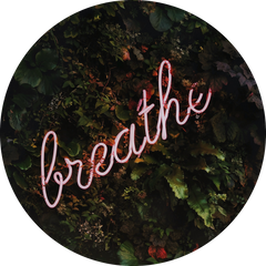 respire breathe unsplash