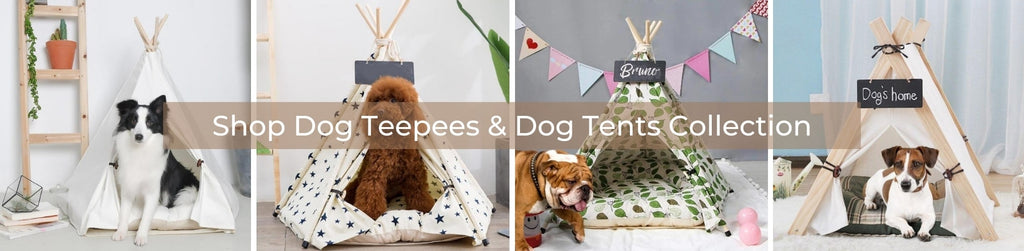 Shop our Dog Teepees, Dog Tents & Dog Beds Collection Now - Buy Dog Teepees Online & Other Pet Accessories