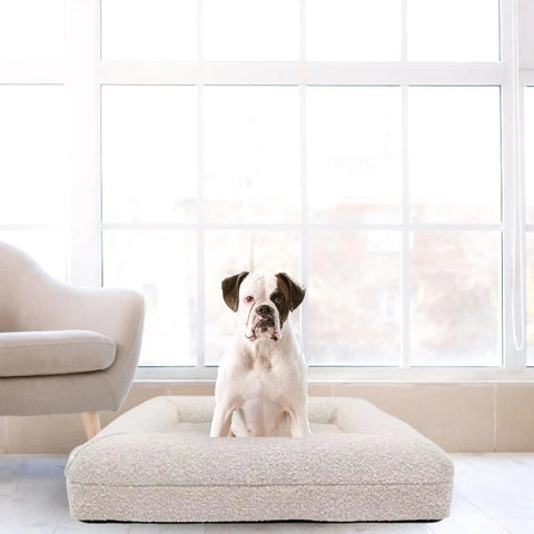 Buy the Comfy Boucle Memory Foam Dog Bed Online Now at Estilo Living!