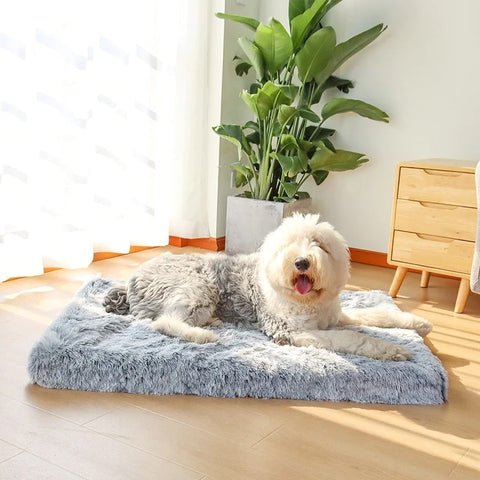 Buy the Plush Orthopedic Memory Foam Dog Mattress Online Now at Estilo Living!