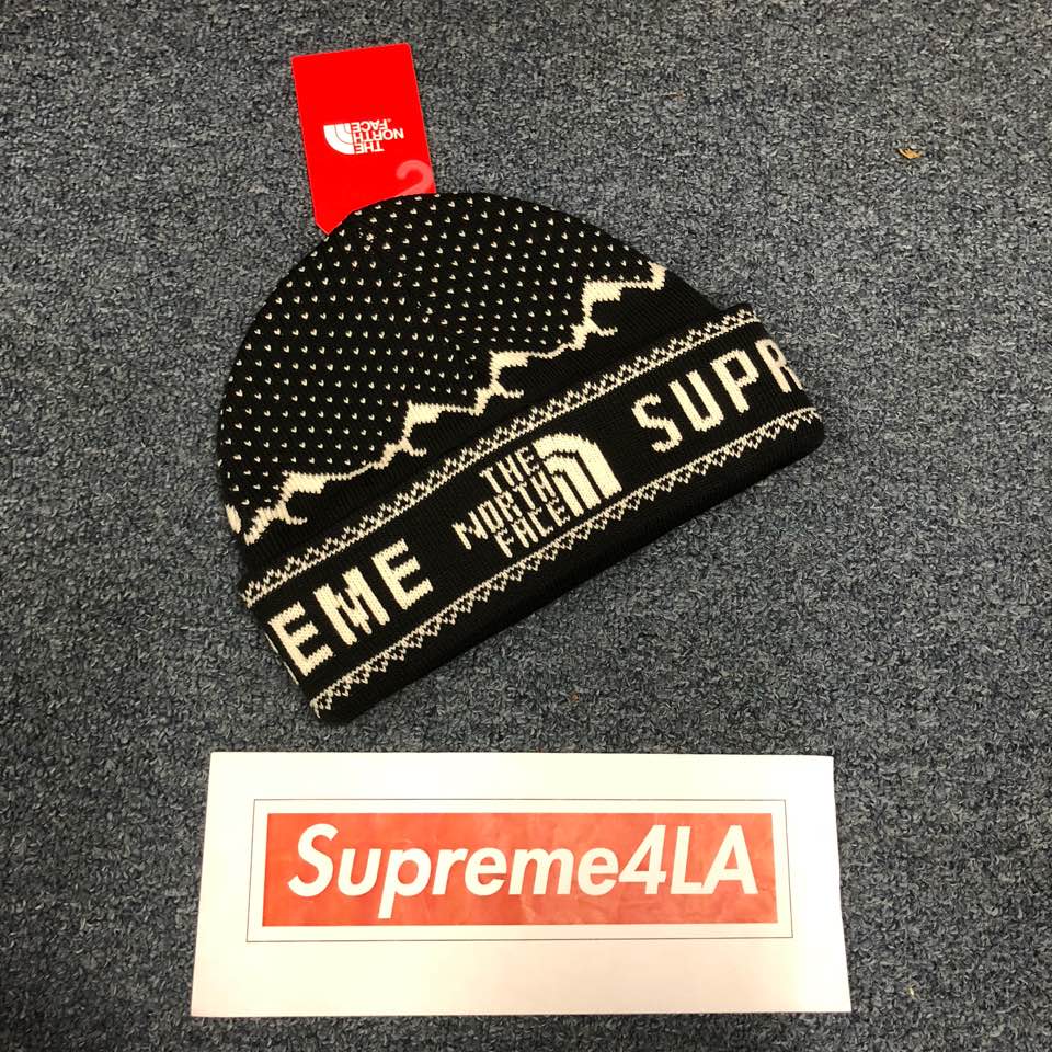 the north face supreme beanie