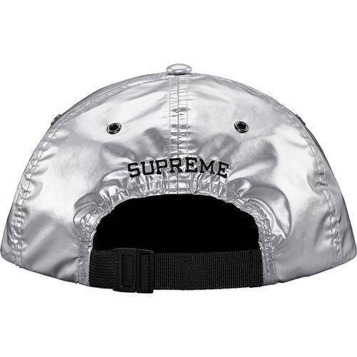 supreme north face silver