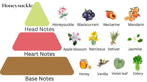 Honeysuckle PP Pyramid