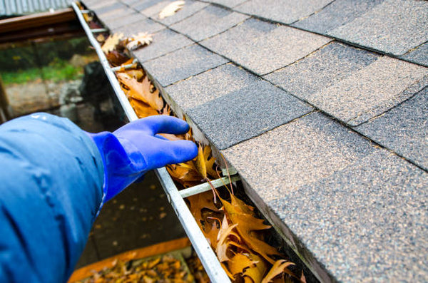 gutter cleaning service