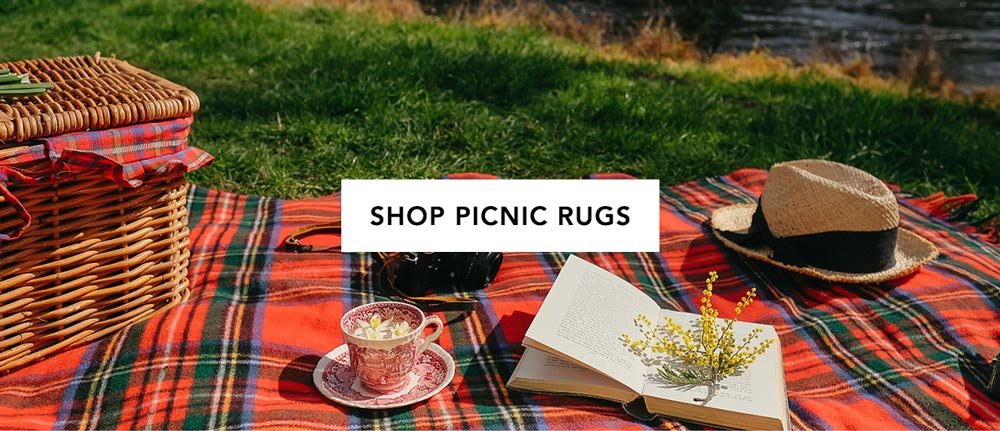 Shop picnic rugs
