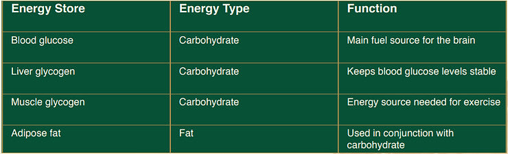 Horse body energy store, type and function