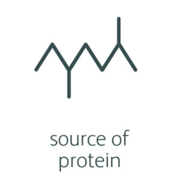source of horse protein