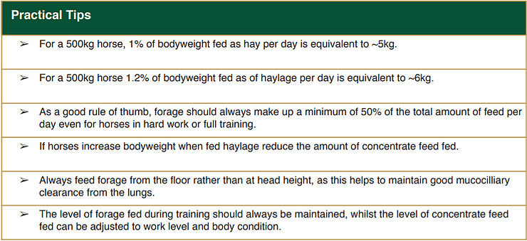 Horse feeding practical tips