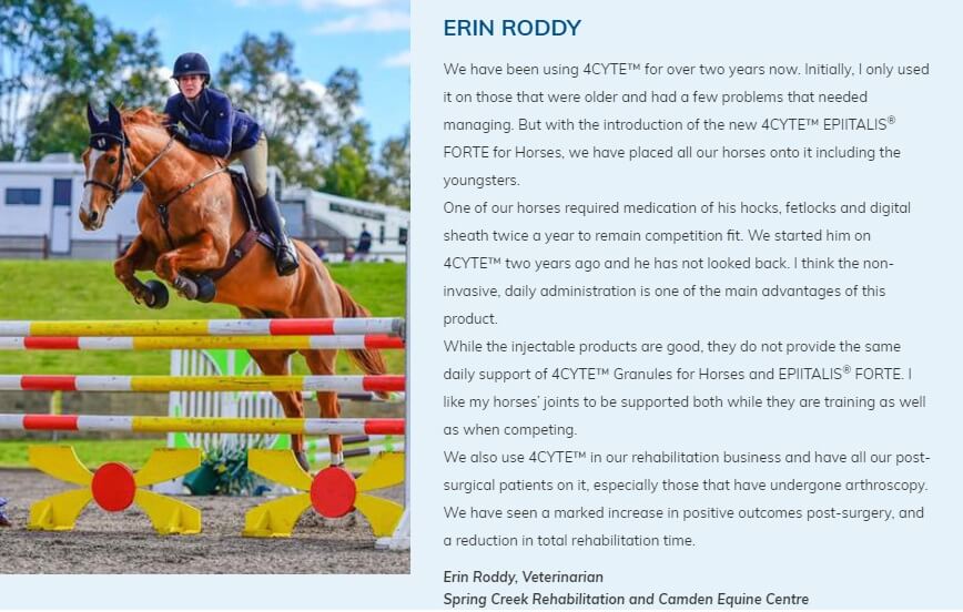 Erin Roddy Veterinarian Testimonial