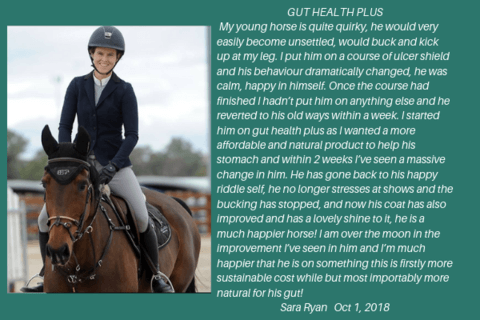 Sara Ryan on Gut Health Plus