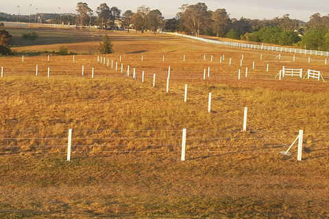 PVC Horse Fencing